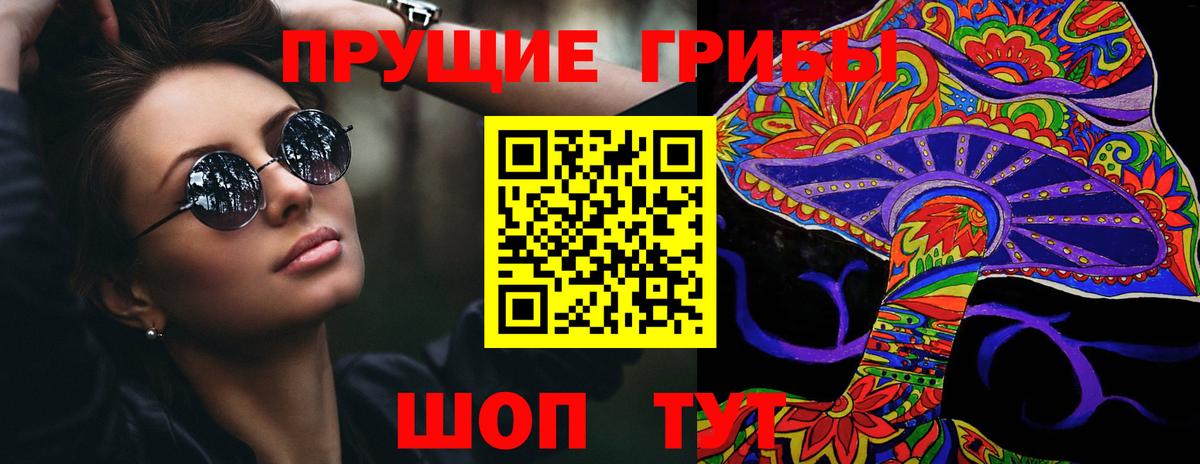 Асино  Псилоцибиновые грибы мицелий  Вход с VPN  Псилоцибиновые грибы прущие грибы 