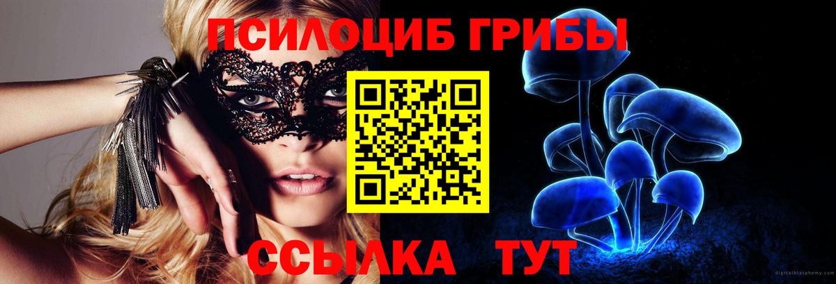 Псилоцибиновые грибы Cubensis Асино