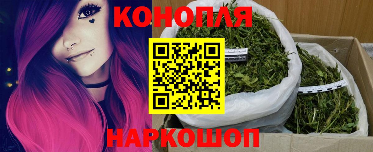 Шишки марихуана план  Вход с VPN  Конопля OG Kush  Асино  МАРИХУАНА ГИДРОПОН 